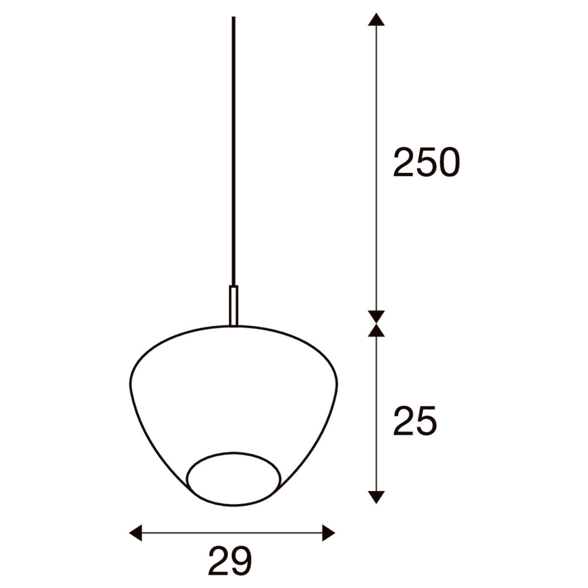 CONVEXA 29