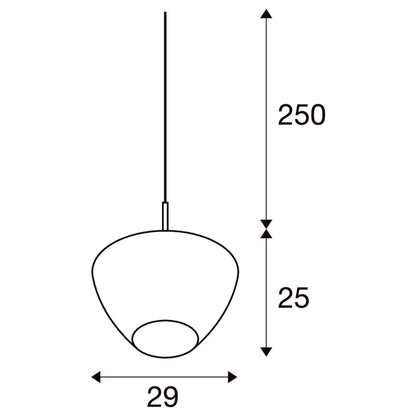 CONVEXA 29