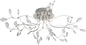 Plafonnier Willow Chrome 5 Lumières