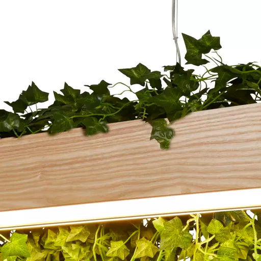 Détail de la suspension LED Ash en bois naturel